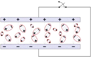 C3-9