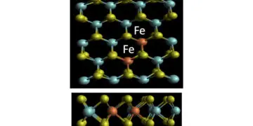 A ferromagnetic semiconductor semiconductor two-atoms thick. The green, blue, and red spheres are sulfur, molybdenum and iron atoms, respectively.
Credit: Stevens Institute of Technology