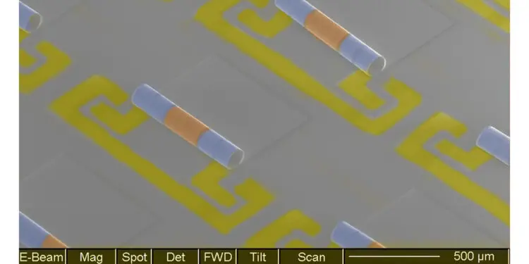 This electron microscope image shows an array of new chip components that combine the inductors (blue) and capacitors (yellow) needed to make electronic signal filters in phones and other wireless devices. Source: Xiuling Li