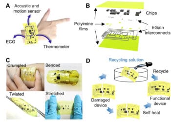 Design and schematic illustration of highly stretchable, self-healable, and recyclable multifunctional wearable electronics.

(A) Schematic illustration of a multifunctional wearable electronic system mounted on the hand, which integrates ECG, acoustic, motion, and temperature sensing capabilities. (B) Exploded view of the multifunctional wearable electronics. (C) Optical images of the multifunctional device being crumpled on the skin, bended, twisted, and stretched. (D) Schematic illustration of self-healing and recycling of the multifunctional wearable electronics. Photo credit: Chuanqian Shi, University of Colorado, Boulder.
