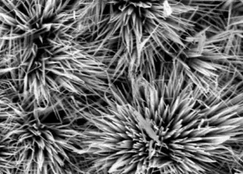 Researchers doped cobalt oxide with tin to create a more efficient electrode for use in supercapacitors. This microscopic image shows the new material on graphene film. Image: JIA ZHU/PENN STATE