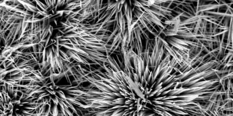 Researchers doped cobalt oxide with tin to create a more efficient electrode for use in supercapacitors. This microscopic image shows the new material on graphene film. Image: JIA ZHU/PENN STATE