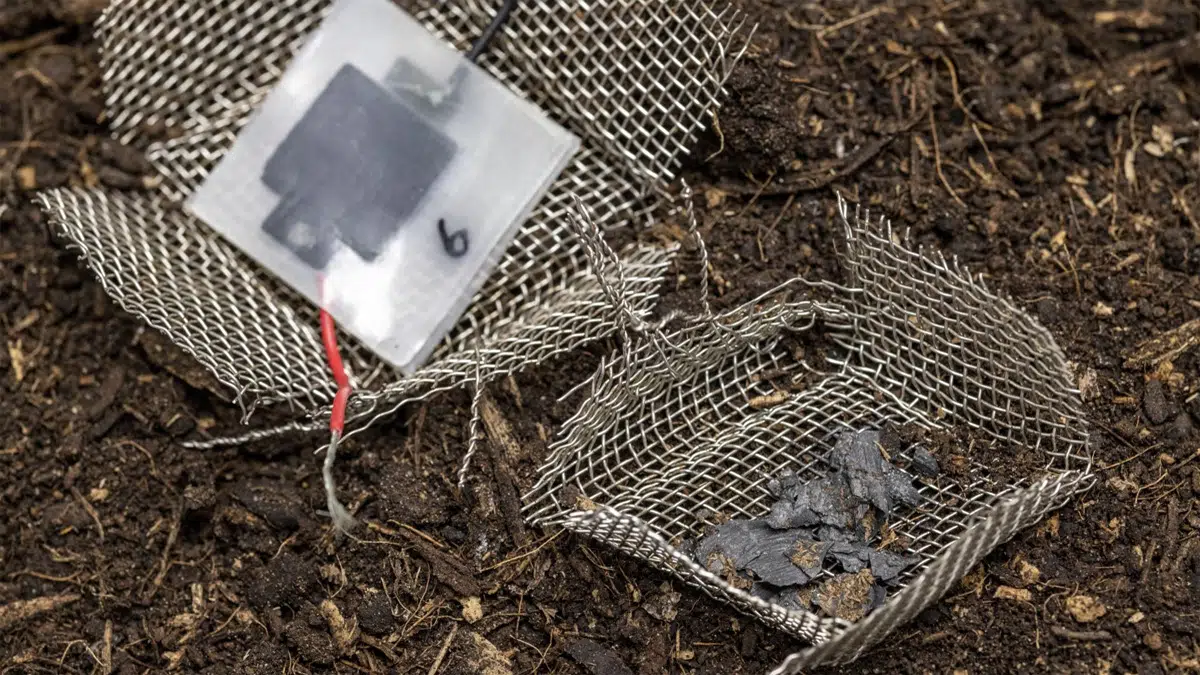 After two months buried in the soil, the capacitor has disintegrated, leaving only a few visible carbon particles. Image: Gian Vaitl/ Empa