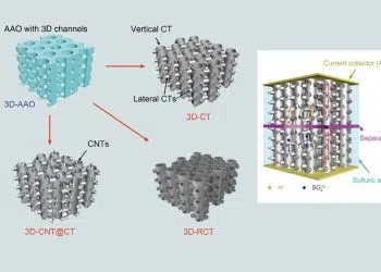 Schematic illustration of the synthesized 3D-CT grids: 3D-CT, 3D-CNT@CT, and 3D-RCT. Credit: HAN Fangming