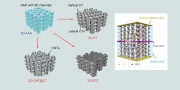 Schematic illustration of the synthesized 3D-CT grids: 3D-CT, 3D-CNT@CT, and 3D-RCT. Credit: HAN Fangming