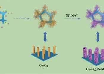 Schematic of the structure of Co3O4@NiMoO4 composite samples