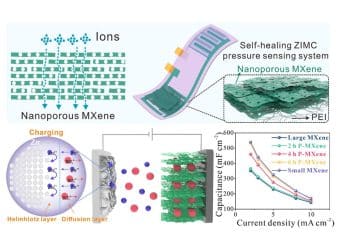 Based on the design of nanoscale ion channels, MXene electrodes with maximized ion accessibility and high mechanical strength are constructed and used for high-capacity Zinc-ion energy storage. The design of in-plane ion channels provides a simple, efficient, and scalable approach to improve the electrochemical energy storage capacity of MXenes and other 2D materials. Image Credit: Science China Press