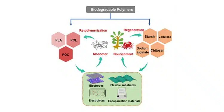 Biodegradable polymers in supercapacitors and the recycling process (Source: DICP; Image by WU Lu)