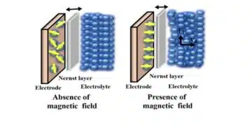 Schematic illustration of the Nernst layer decrement under a magnetic environment; source: https://doi.org/10.1063/5.0134593