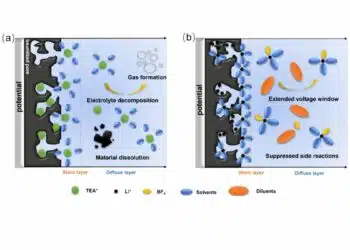 Schematic illustration of the electric double layer of porous carbon electrodes at elevated potentials in a a conventional electrolyte and b a weakly solvating electrolyte; source: authors