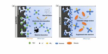 Schematic illustration of the electric double layer of porous carbon electrodes at elevated potentials in a a conventional electrolyte and b a weakly solvating electrolyte; source: authors