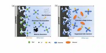 Schematic illustration of the electric double layer of porous carbon electrodes at elevated potentials in a a conventional electrolyte and b a weakly solvating electrolyte; source: authors