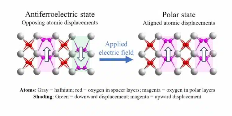 Antiferroelectric hafnia crystal structure showing alternating polar layers and field-aligned polar state, University of Nebraska–Lincoln