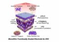 Schematic of the step-wise LPG/LPG@MnOx/LPG-O functionally graded thick cathode for a zinc-ion hybrid capacitor, Hefei Institutes of Physical Science.