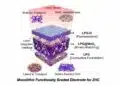 Schematic of the step-wise LPG/LPG@MnOx/LPG-O functionally graded thick cathode for a zinc-ion hybrid capacitor, Hefei Institutes of Physical Science.