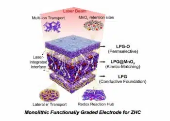 Schematic of the step-wise LPG/LPG@MnOx/LPG-O functionally graded thick cathode for a zinc-ion hybrid capacitor, Hefei Institutes of Physical Science.